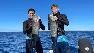 HAMMERHEAD SPEARGUNS interview and spearfishing the middle of NO WHERE