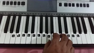 Dil ka dia jala ke gaya || Lata mangeshkar ||Aakash deep  || keyboard tutorial cover