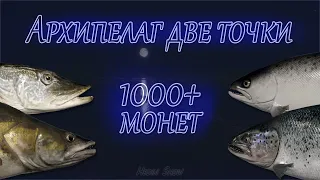 Фарм 1000+ монет в час две точки на Ладожском Архипелаге🎣 РР4
