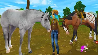 Checking Out NEW Starshine Western Ranch Star Stable Online Roleplay Video