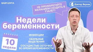 10 неделя беременности УЗИ, ощущения, развитие плода, как выглядит ребенок, кровянистые выделения