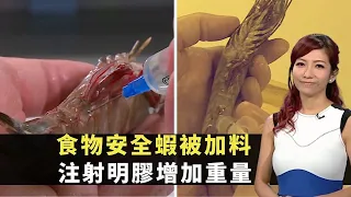 東張西望｜食物安全蝦被加料｜注射明膠增加重量｜明膠蝦賣相更佳不易察覺｜李潤庭 朱凱婷