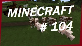 Let's Play Minecraft Together #104 [Deutsch] [HD] - Tiere fangen