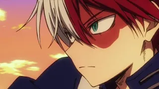 Todoroki - AMV - Animals