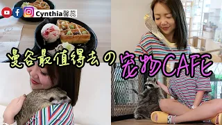 【VLOG】曼谷最值得去的宠物Cafe！Little Zoo Cafe On Nut