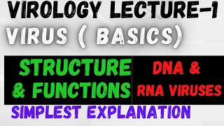Virus Structure and Classification // shape of viruses // DNA VIRUS & RNA virus