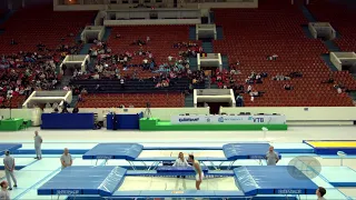 ANDRADE Rafael (BRA) - 2018 Trampoline Worlds, St. Petersburg (RUS) - Qualification Trampoline R2