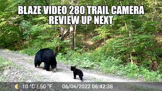 My Favorite Trail Cam - Blaze Video Model 280 Trail Cam Review, Unboxing, Set Up, End Results, A280