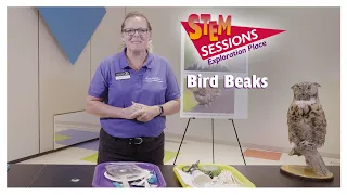 Bird Beaks | STEM Session