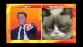 Anchor Can't Stop Laughing @ Funny Cat Face - Look At That Cat #Blooper