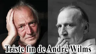 La vie et la triste fin de André Wilms