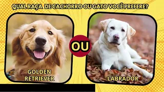 O QUE VOCÊ PREFERE? ESCOLHA A SUA RAÇA DE CACHORRO OU GATO FAVORITA - DESBRAVANDO QUIZ 🐶🐱