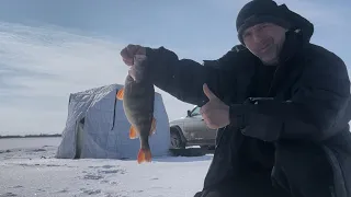 Вот это поклевка ! Вот это ОКУНЬ ! Один на льду ! Трофейный ОКУНЬ!