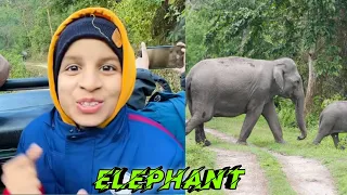 @souravjoshivlogs7028 Jungle Safari Mein Maza Aagya 😍