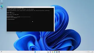 windows 10/11 .net 3.5 ошибка установки (0x8024402c)