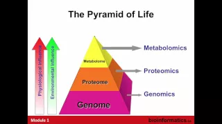 Introduction to Metabolomics