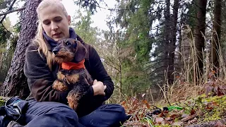 Život s Jazvečíkom ep. 3 - Nové šteňa výcvik | Life with a Dachshund ep.3 - New Puppy training