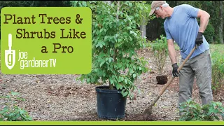 How To Plant Trees and Shrubs Like a Pro
