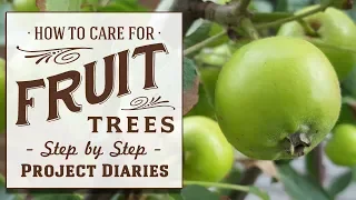 ★ How to Care for Fruit Trees in Containers (Seasonal Growth Stages, Tips & Updates)