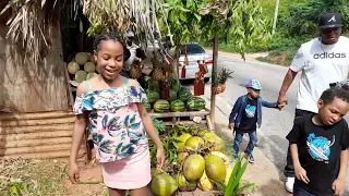 Jamaica holiday vlog - Mandeville/ Spur Tree Hill / Holland Bamboo and St Elizabeth