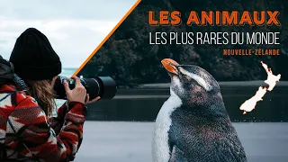 LES ANIMAUX LES PLUS RARES de Nouvelle-Zélande - Vlog Voyage #7