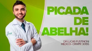 PICADA DE ABELHA Sintomas e Tratamento!  - Dr Lucas Fustinoni - Médico - CRMPR 30155