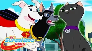 Псу под хвост Часть 2 | 408 | DC Super Hero Girls Россия