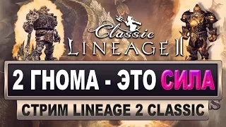 Lineage 2 Classic. Сервер Shillien стрим (Два гнома - это сила!) #17