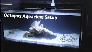 Octopus Aquarium Setup