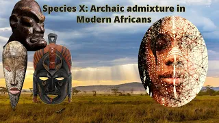 African DNA Admixture: Mysterious Species X solved?