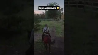 Супер охранники в Red dead redemption 2🤣🤣🤣