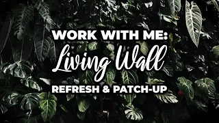 Refreshing my GIANT Living Wall! | Work With Me | Kaylee Ellen
