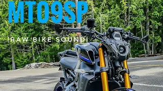 Old Man's Pass | Smooth Riding | MT09SP