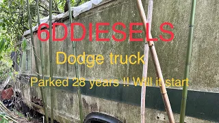 Dodge 50 series ex London fire brigade parked for 28 years in a French wood!! Can I get it to run ??