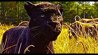 Field Scene (The Jungle Book 2016)