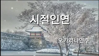 시절인연/ 이찬원, 안성훈/ 미스터트롯2/ 가사/ 오카리나연주