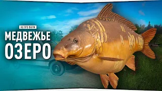 Медвежье озеро - Карп • Русская Рыбалка 4