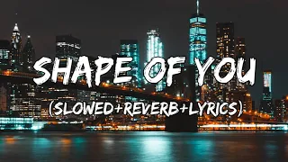 Shape Of You - Ed Sheeran Song ( Slowed+Reverb+Lyrics )