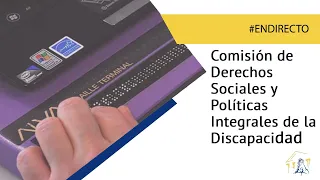 Comisión de Derechos Sociales y Políticas Integrales de la Discapacidad (11/05/2022)