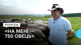 Чому вівчарство зникає та чи багато за це заробиш — історія буковинця, який тримає отару за все село