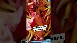 Rare Edible Flowers You Can Eat #shorts #flowers #edible