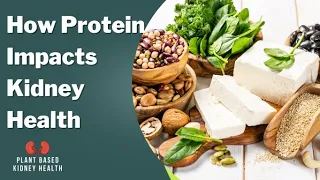 E 3: How Much & What Type of Protein Should You Consume to Protect Your Kidneys?