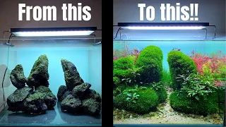 TAKE YOUR AQUASCAPE TO THE NEXT LEVEL WITH THIS MOSS METHOD!