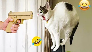 Funniest Cats and Dogs - Funny Animals 2023 #21