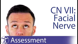 Cranial Nerve 7 | Facial Nerve Assessment for Physiotherapists