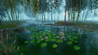 Nature’s Symphony: Sleep Music Relaxing Nature Sounds | A Serene Journey Through a Mystical Pond