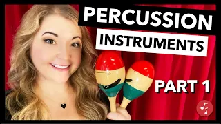 About Percussion Instruments, Part 1 (Unpitched) | Little School of Music