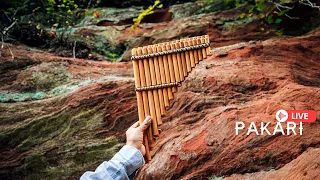 Pakari - Wonderful mood with Andean music!✨