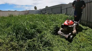 Mowing the most overgrown lawn - Overgrown cleanup