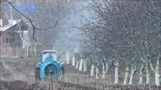 Омывка орехового сада раствором "bouillie bordelais" по зелёному конусу. Апрель 2022